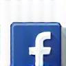 Facebook Icon